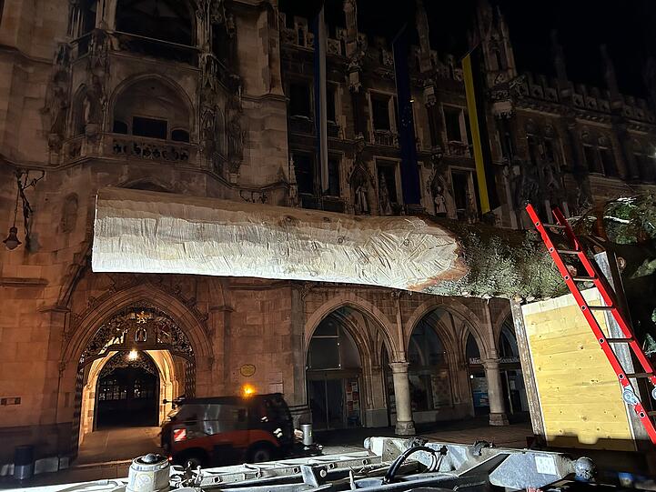 Nach 60 Kilometern Reise kam die Tanne vor dem Neuen Rathaus an.