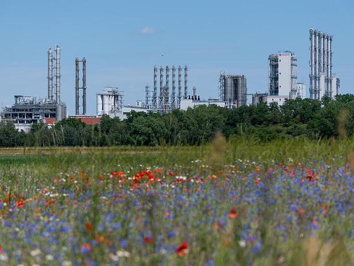 Wacker Chemie reagiert mit umfassenden Einsparungen und einem groß angelegten Stellenabbau auf das schwierige Geschäftsumfeld. Foto: Robert Michael/dpa/Archivbild