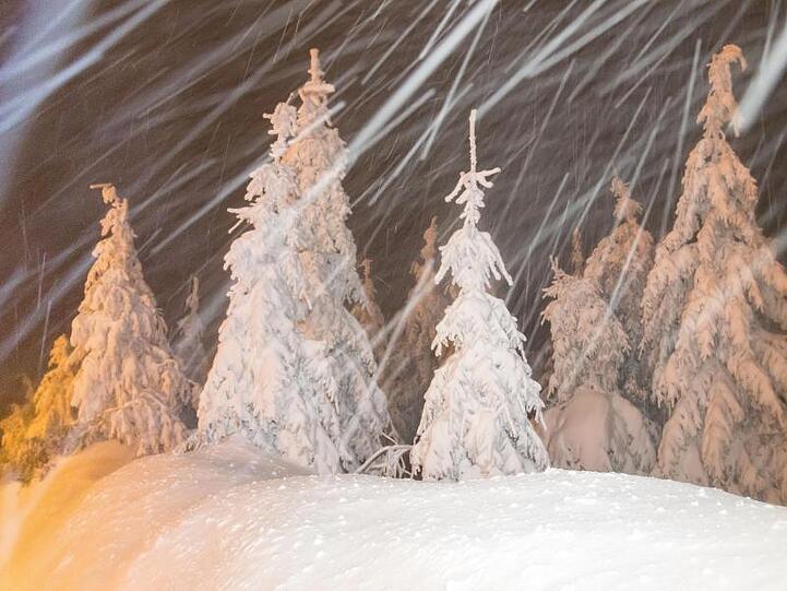 Tief verschneiter Wald auf dem Fichtelberg: Tief "Benjamin" brachte gewaltige Schneemassen ins Erzgebirge.