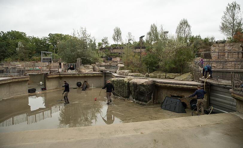 Blick auf ein entleertes Seelöwen-Becken der Delfin-Lagune in Nürnberg, um deren Sanierungsfall seit Jahren gestritten wird.