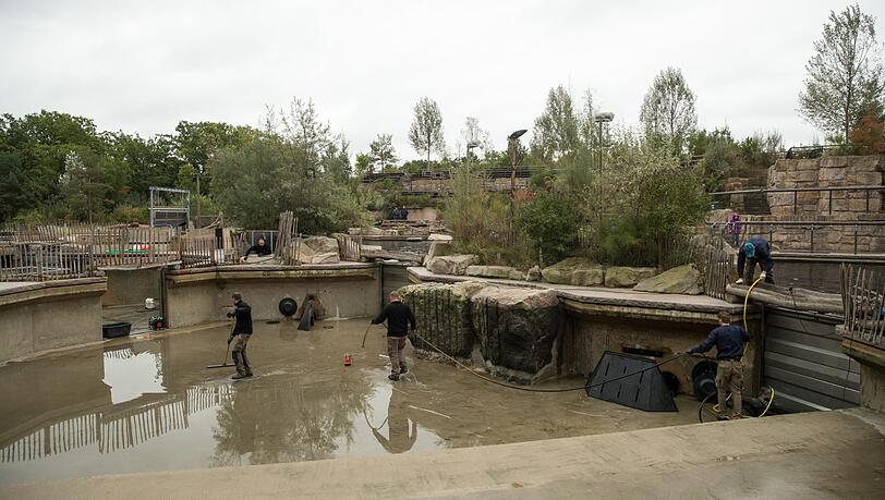 Blick auf ein entleertes Seelöwen-Becken der Delfin-Lagune in Nürnberg, um deren Sanierungsfall seit Jahren gestritten wird. Blick auf ein entleertes Seelöwen-Becken der Delfin-Lagune in Nürnberg, um deren Sanierungsfall seit Jahren gestritten wird.