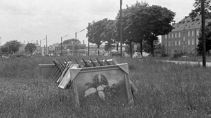 Kunst in der Wiese: am Hart im Jahre 1964.