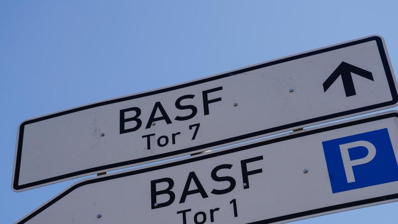 BASF hat die Prognose gestrichen, aber eine Dividende für die Aktionäre gibt es trotzdem. BASF hat die Prognose gestrichen, aber eine Dividende für die Aktionäre gibt es trotzdem.