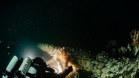 Beim Untergang am 11. März 1915 kamen fast 200 Seeleute ums Leben.