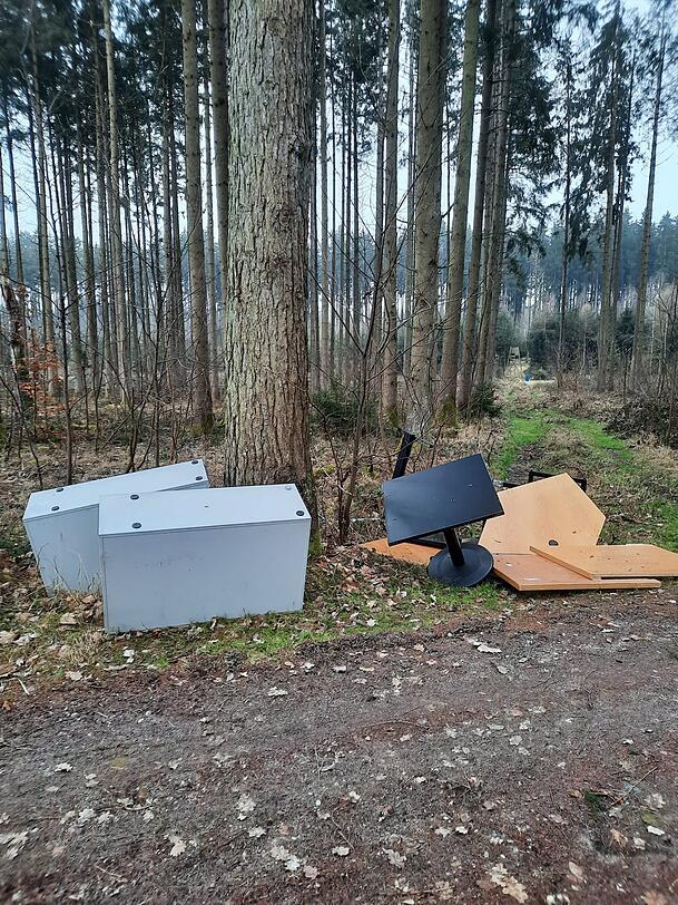 Auch Containerschränke, Karton und Plastikmüll liegen einfach verteilt im Wald.