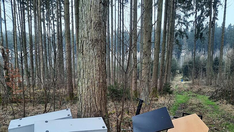 Auch Containerschränke, Karton und Plastikmüll liegen einfach verteilt im Wald. Auch Containerschränke, Karton und Plastikmüll liegen einfach verteilt im Wald.