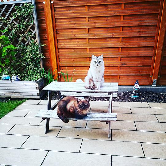 Karl & Lotta