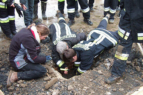 Frauchen kniet aufgelöst am Boden, während die Feuerwehrleute durch einen Wartungsschacht im Wasserrohr nach dem vermissten Hund suchen.