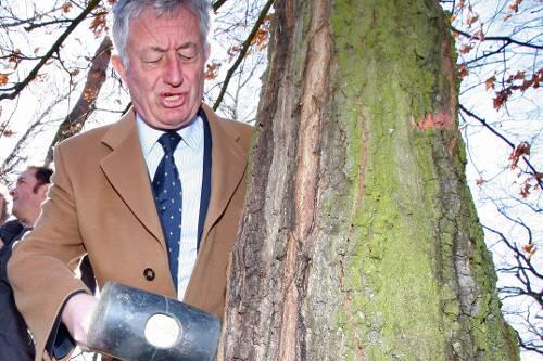 Bürgermeister Horst Förther macht den Hammer-Test.