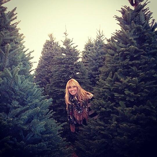 Das Supermodel auf der Suche nach dem perfekten Weihnachtsbaum