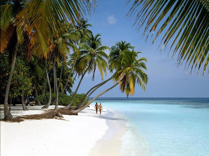 Bedrohtes Paradies: Einsamer Palmenstrand auf der Malediven-Insel Little Bandos.
