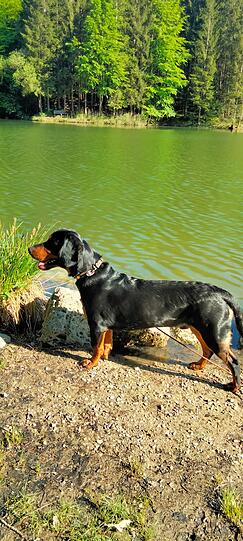 Milow: Der schaut so liab.