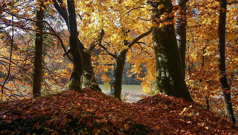 Die Farben an der südlichen Isar sind in diesen Zeiten ein Traum! Die Farben an der südlichen Isar sind in diesen Zeiten ein Traum!