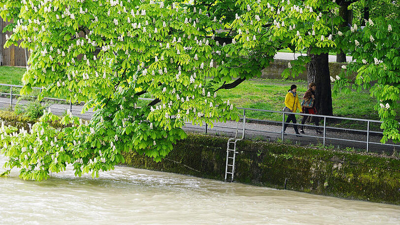 Schmutzigbraun wälzt sich die Brühe am Müllerschen Volksbad vorbei, auch der Kanal ist voll.
