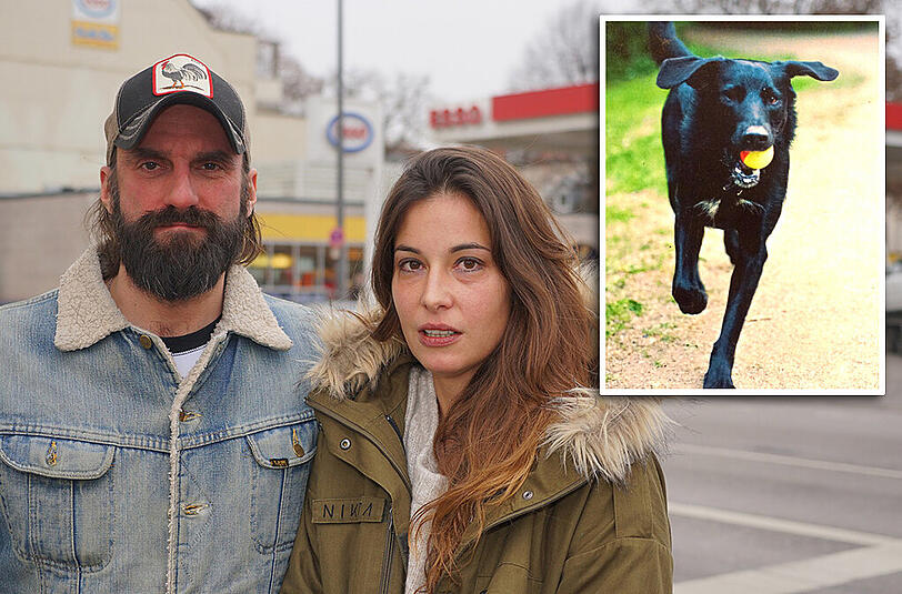 Sven und Susanna haben nach drei Tagen ihren geliebten Rocky wieder - auch dank der Mithilfe vieler Münchner und Münchnerinnen.