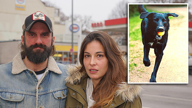 Sven und Susanna haben nach drei Tagen ihren geliebten Rocky wieder - auch dank der Mithilfe vieler Münchner und Münchnerinnen. Sven und Susanna haben nach drei Tagen ihren geliebten Rocky wieder - auch dank der Mithilfe vieler Münchner und Münchnerinnen.