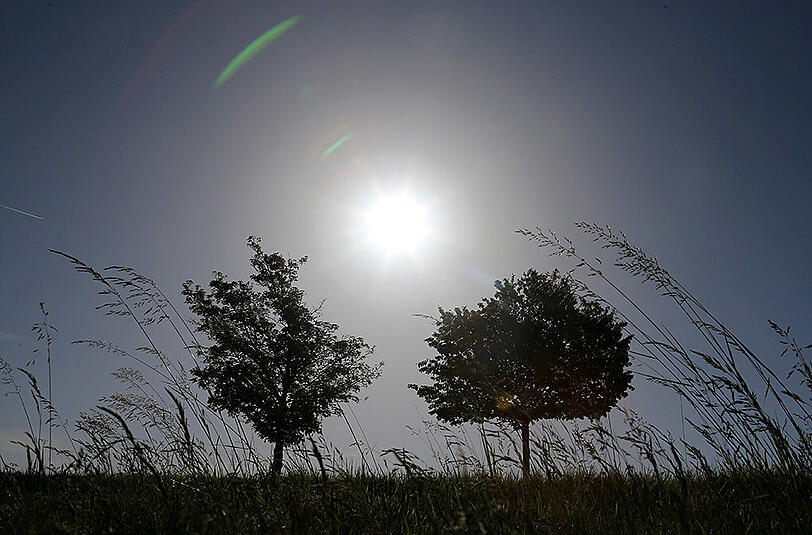 Wenn das Sonnenlicht dunstig und trüb erscheint, dann kann es sich dabei um Saharastaub in der Atmosphäre handeln.