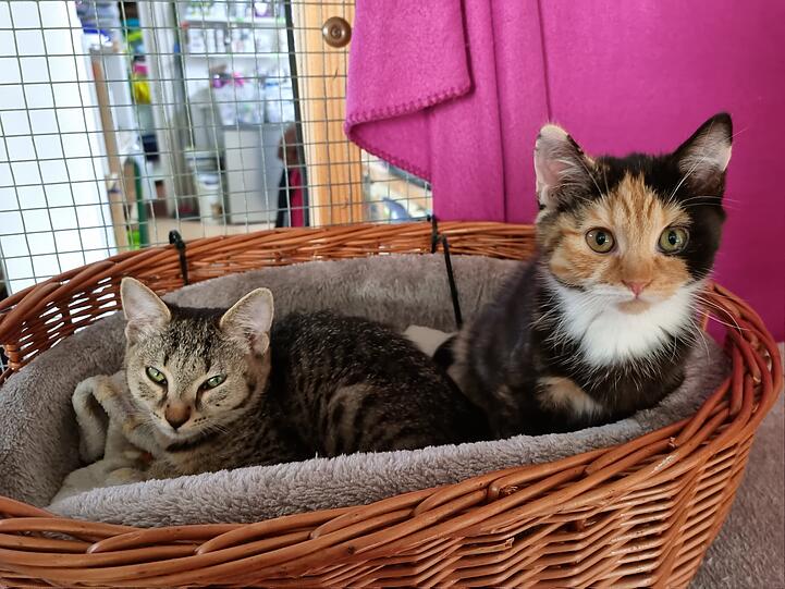 Nelly und Bella