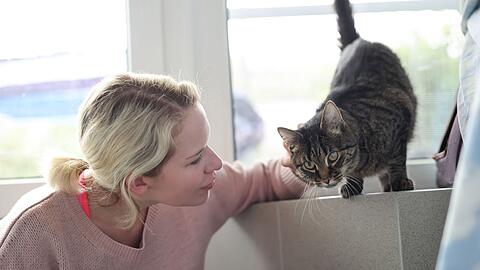 Weil die Festangestellten in Tierheimen voll ausgelastet sind, übernehmen ehrenamtliche Katzenstreichlerinnen wie Christina Haas das Kraulen und Spielen.