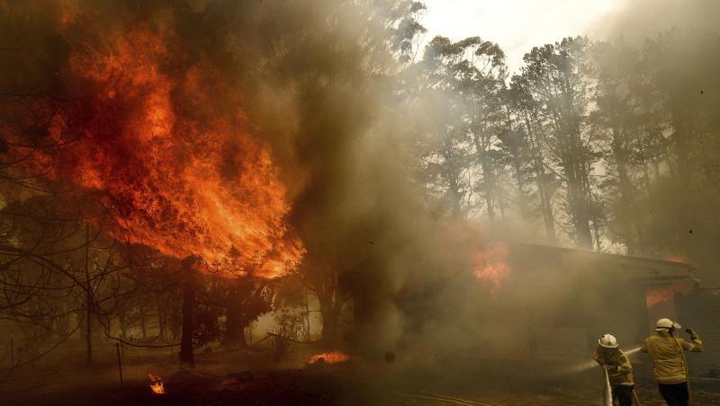Seit September starben durch die Buschbrände in Australien mindestens 32 Menschen. Seit September starben durch die Buschbrände in Australien mindestens 32 Menschen.