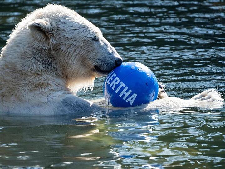 Auch Mutter Tonja gefällt der "Hertha"-Ball.