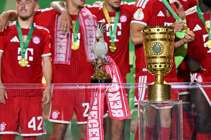 Wenn der FC Bayern einen Titel feiert, ist der Kakadu nicht weit. Wenn der FC Bayern einen Titel feiert, ist der Kakadu nicht weit.