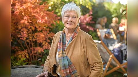 Judi Dench spricht bewundernswert offen über ihre Augenerkrankung.