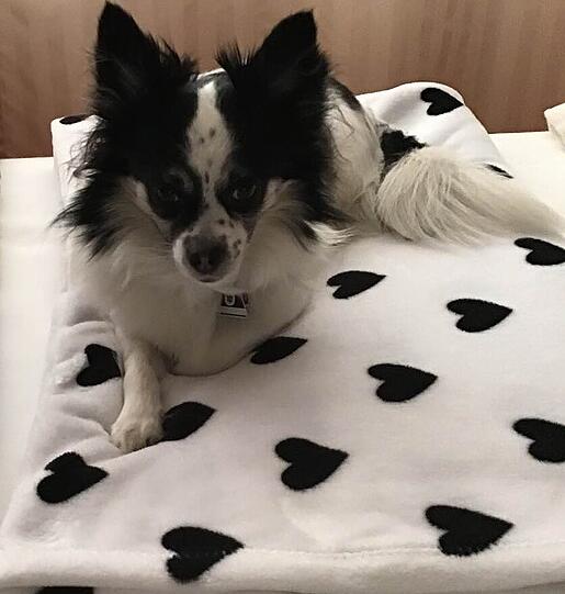 Rocky