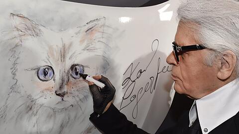 Der Instagram-Account von Karl Lagerfelds Katze Choupette hat einen Werbewert von geschätzten 30 Millionen Euro.