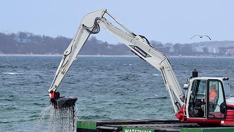 Der Bagger gr&auml;bt eine Rinne f&uuml;r den gestrandeten Wal.
