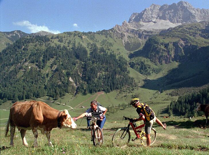 Mit dem Bike in den Bergen unterwegs - für viele der ideale Freizeitsport. Gefährlich wird es allerdings, wenn man sich in dem Gelände nicht auskennt.