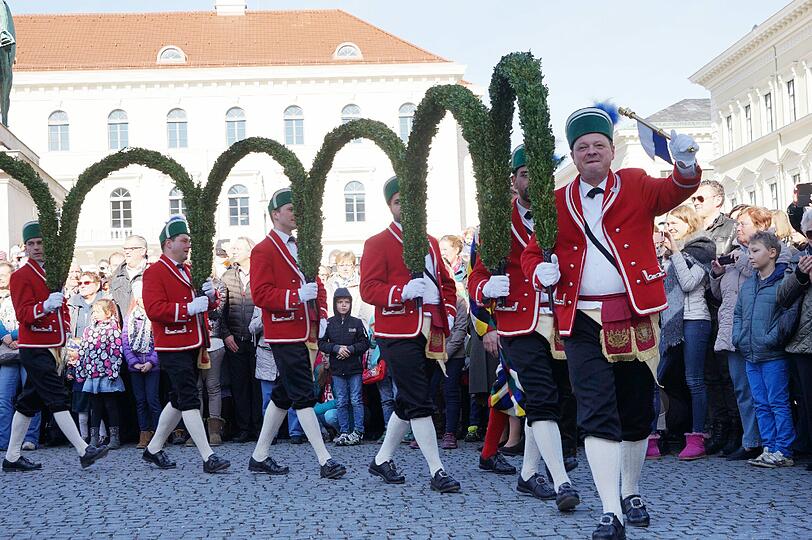 Laube, Kreuz, Schlange und Krone - das sind nur einige der Formationen, die die Schäffler auf Lager haben. Hier die Bilder vom traditionellen Tanz am Marienplatz vor Oberbürgermeister Dieter Reiter und später am Wittelsbacherplatz.