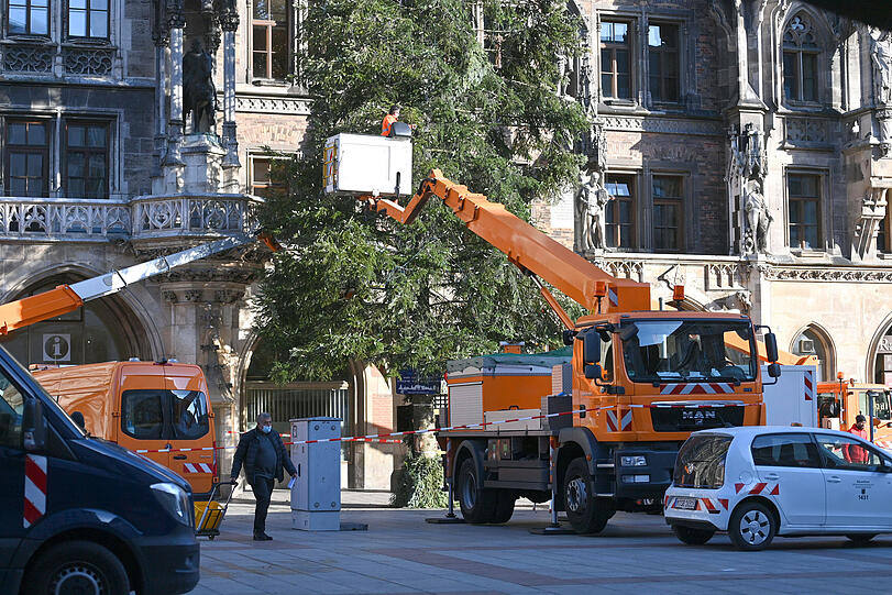 Auch der Christbaum steht bereits und wird geschmückt.