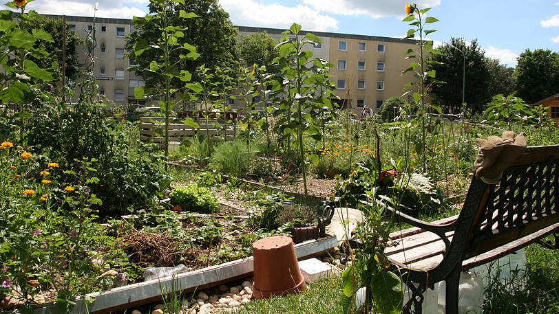 Platz für Bienen in der Blumenau.