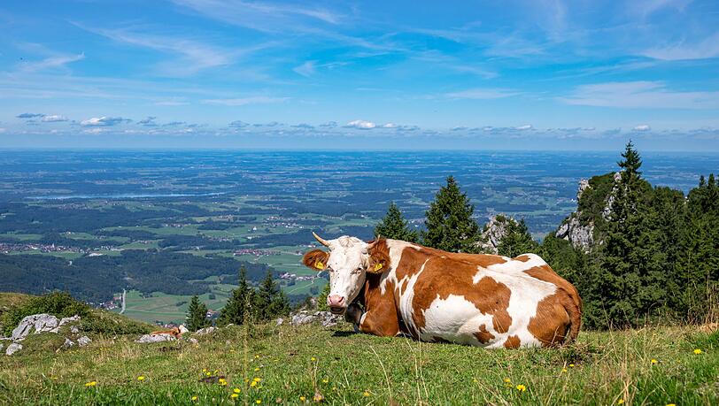 Es bleibt freundlich in Bayern. (Archivbild)