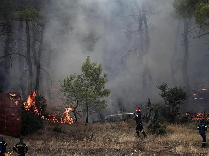 Nach Schätzungen des Gouverneurs der Region sind bislang 2500 Hektar Pinienwald den Flammen zum Opfer gefallen.
