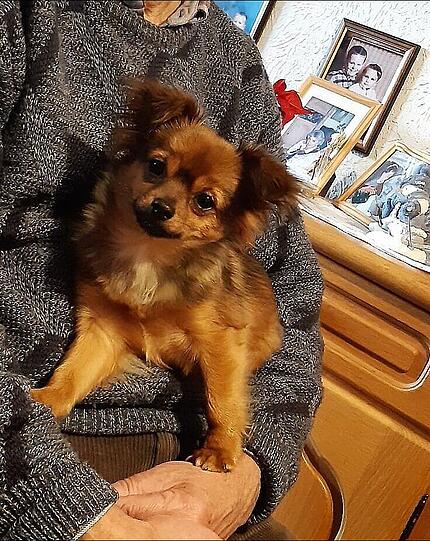 Bella