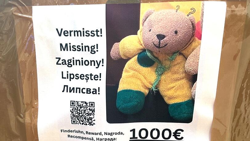 Ein Plakat zu einer Suchaktion. (Archivbild)