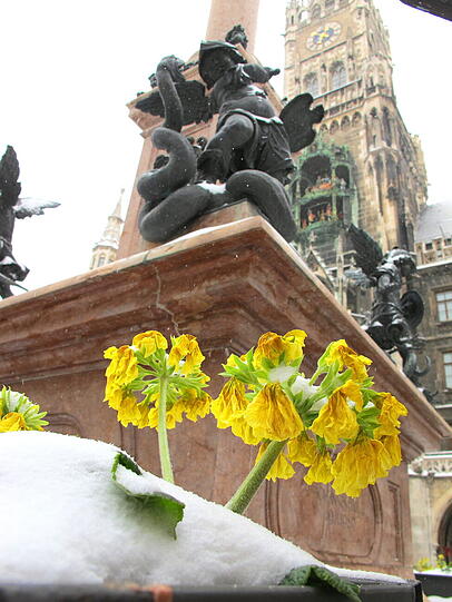 Schauplatz Marienplatz.