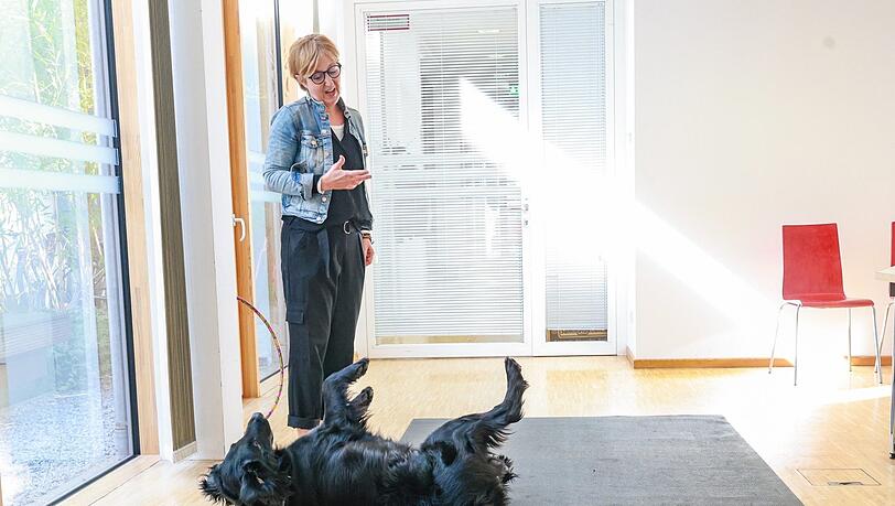 Außerhalb der JVA ist Sunny auch als Therapiehund im Einsatz.