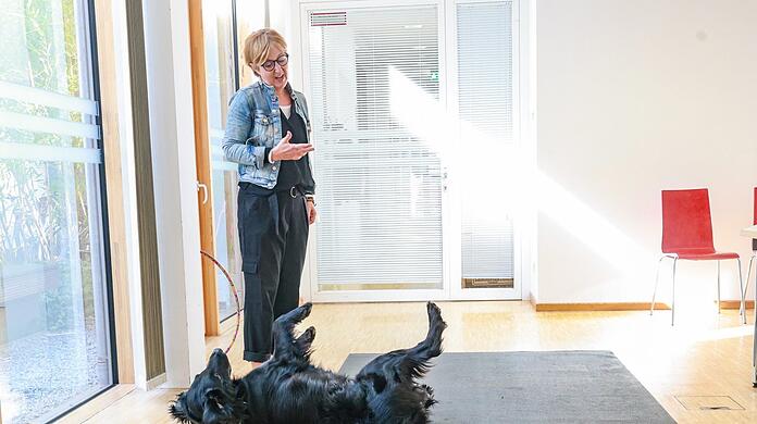 Außerhalb der JVA ist Sunny auch als Therapiehund im Einsatz.