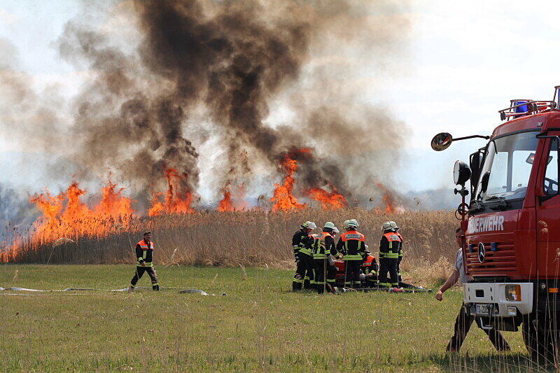 Mit einer Löschkette kämpften ein Feuerwehrmänner gegen die Feuerwalze, die sich durch das Schilf fraß.