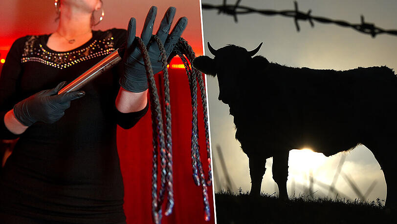 Existenzgründung als Domina oder als Rinderzüchter? So manch eine Kreditanfrage hat wenig Chancen auf Bewilligung bei der Bank. Existenzgründung als Domina oder als Rinderzüchter? So manch eine Kreditanfrage hat wenig Chancen auf Bewilligung bei der Bank.