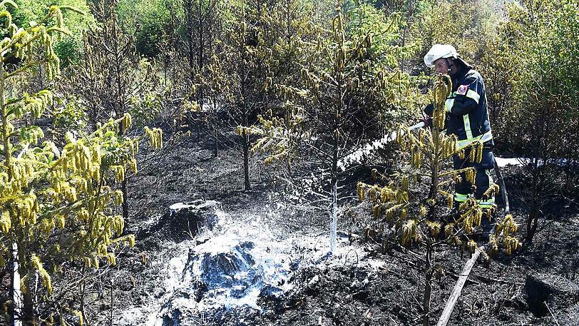 Unter extremen Bedingungen kämpfte sich die Feuerwehr zu den Flammen vor.