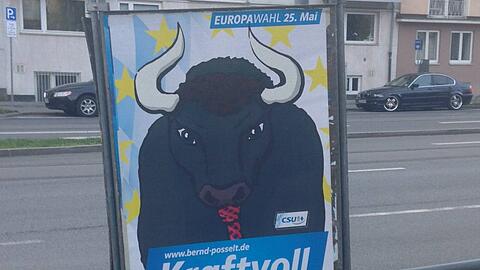 Wütender Stier mit Krawatte statt Politikergesicht: So hat CSU-Politiker Bernd Posselt für die Europawahl plakatiert.