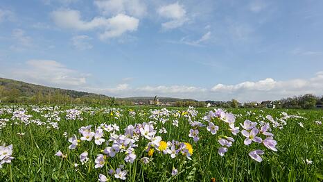 Tags&uuml;ber soll es fr&uuml;hlingshaft mild werden - nachts dagegen frostig.
