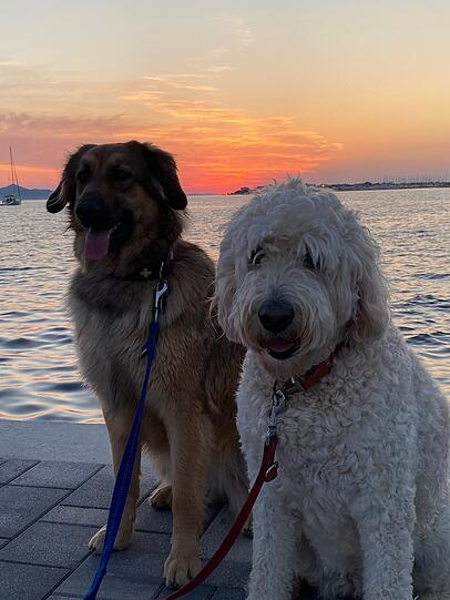Lilly und Puppet