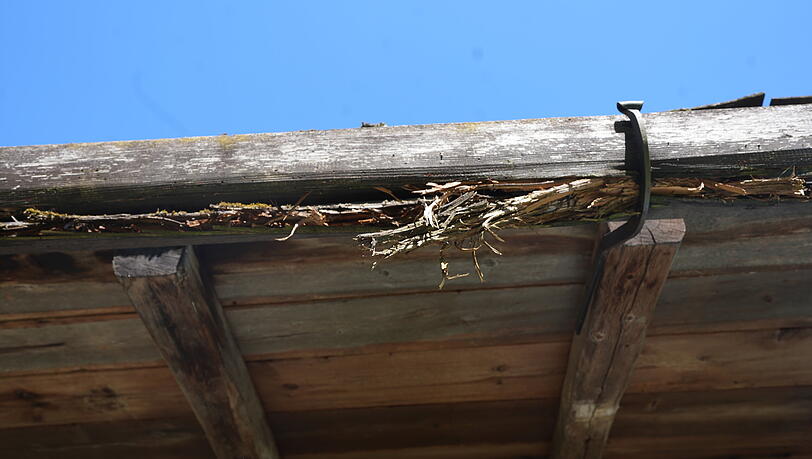 Auch die Dachrinne des historischen Bauernhauses ist aus Holz. Und erkennbar marode. Auch die Dachrinne des historischen Bauernhauses ist aus Holz. Und erkennbar marode.