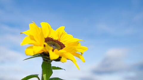 Besonders der Süden profitiert von der Wetterlage.