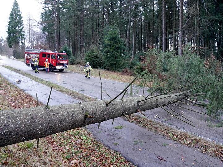 Einsatzkräfte der Feuerwehr arbeiten an einer Unfallstelle. Foto: Andreas Rosar/dpa